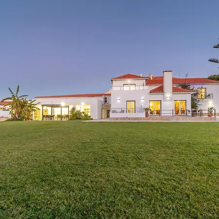 Silver Seahorse Garden Retreat Ii