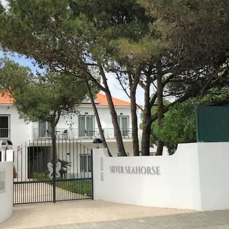 بيت للعطل Silver Seahorse Garden Retreat Ii كونسولاكاو